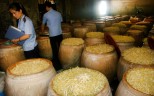 A food factory in Beijing has been using illegal chemicals to increase production of bean sprouts, netting the firm millions of yuan in profits. Photo: AP