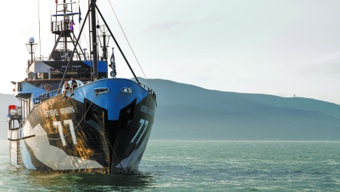 5 Ways Sea Shepherd's Controversial Methods Are Changing the World for  Whales