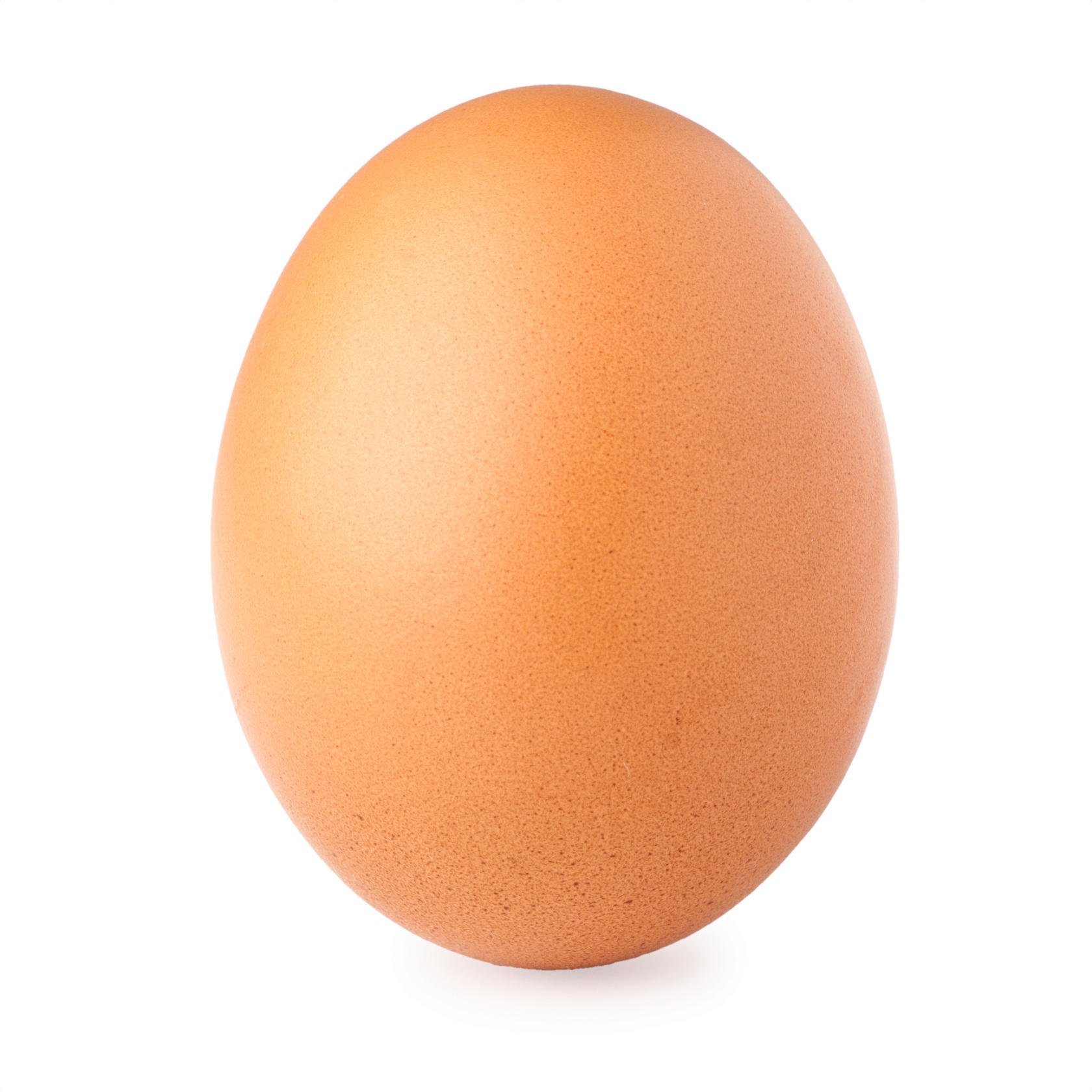 natural eggshell membrane natural eggshell membrane - 1680 x 1680 jpeg 192kB