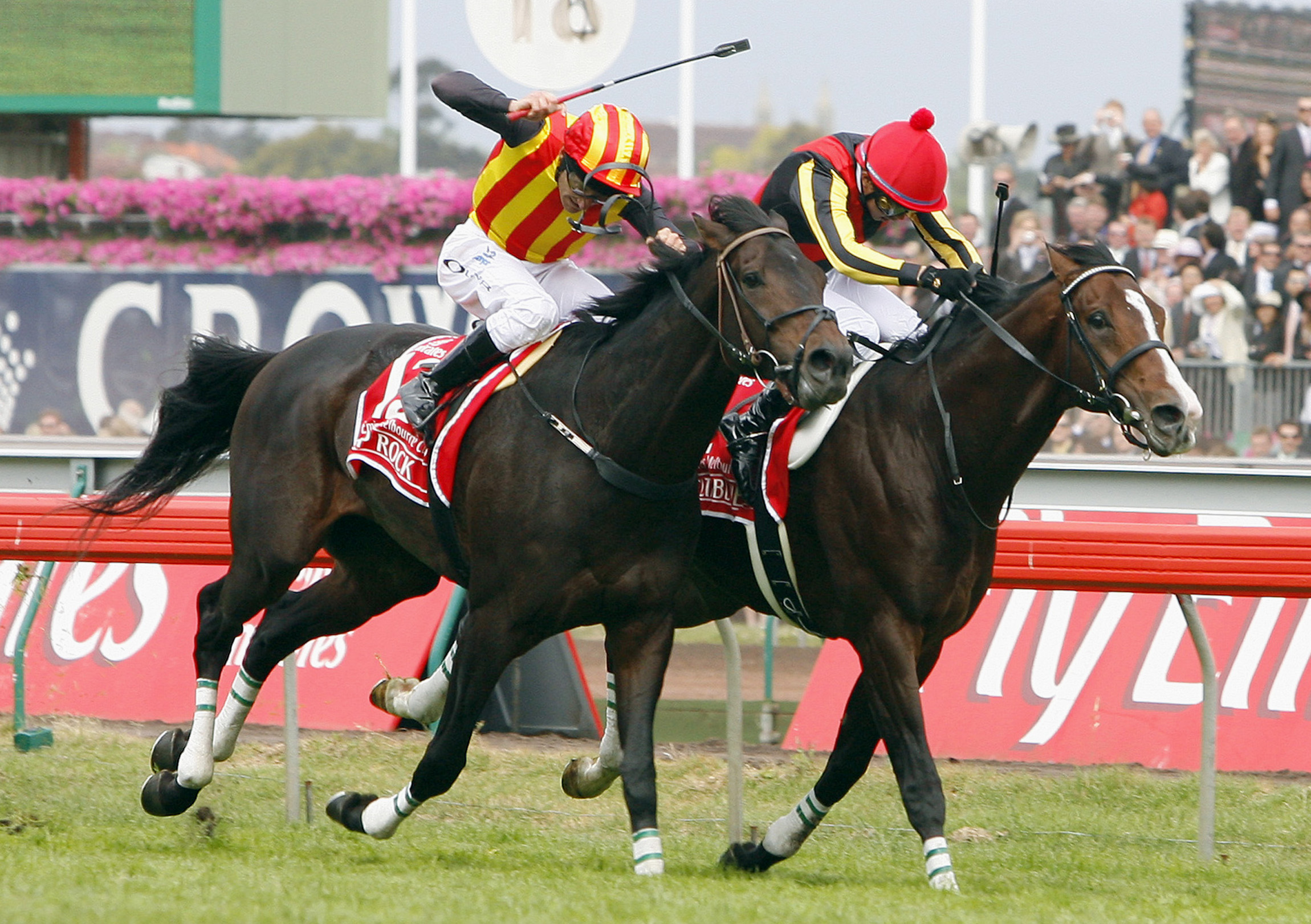 Melbourne Cup Horse Race