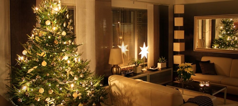 A beautiful living tree from xmastreeonline adds sparkle to any home