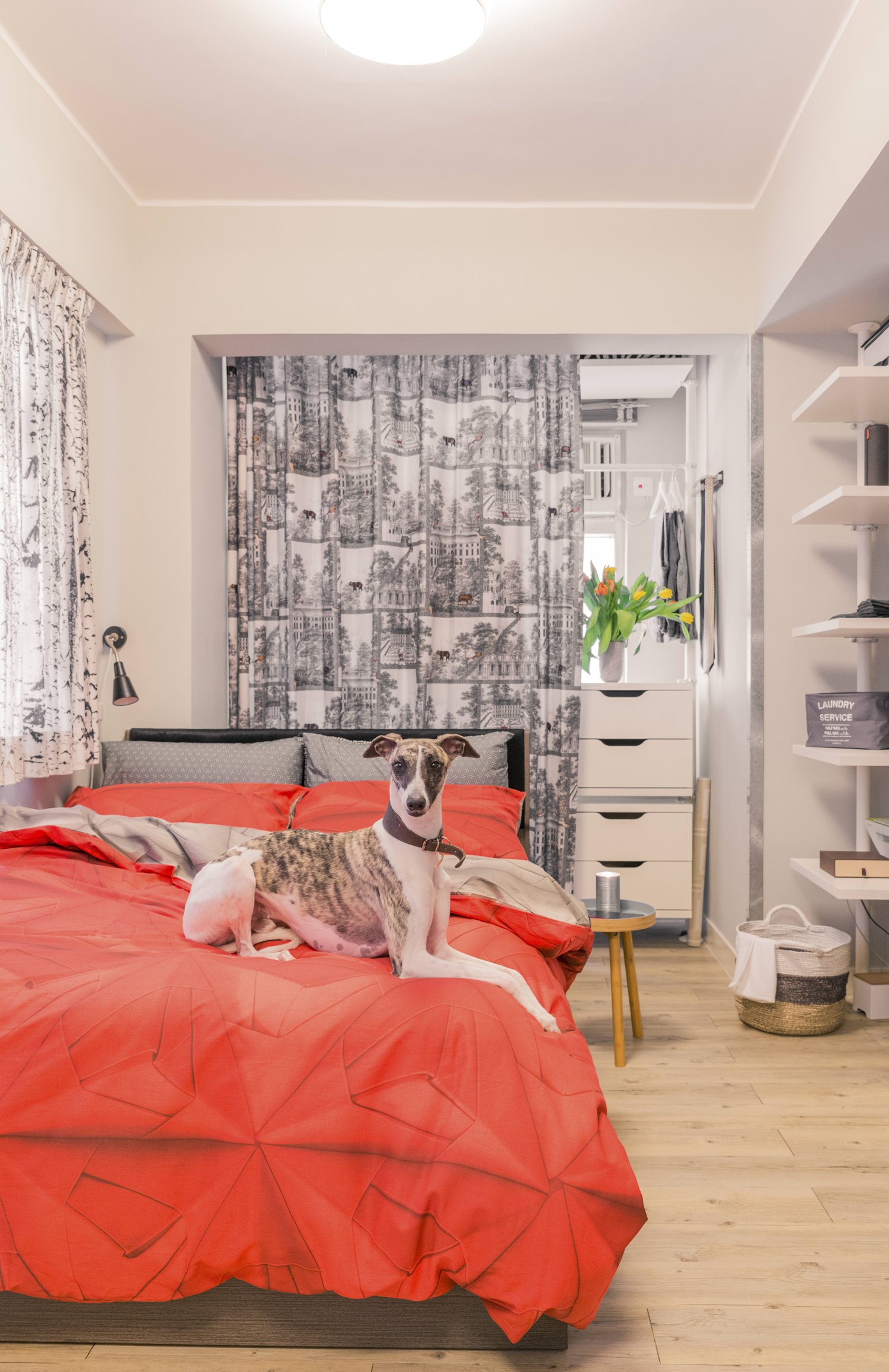 Hong Kong interior designer makes son s microflat fun liveable