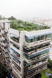 The most awesome rooftop garden?