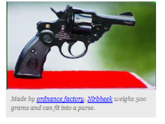 A screenshot of a Times of India report shows the Nirbheek (or "fearless") gun. Photo: SCMP Pictures
