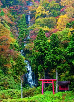 Basho took a boat down the Mogami River in the north of Japan's Honshu Island, through steep-sided valleys that blush with colour in both spring and autumn.