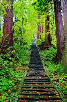 Matsuo Basho climbed these 2,400 steps for a meeting with the abbott of the shrine atop Mount Haguro. Visitors can stay overnight and rise early to attend a Shinto ceremony.
