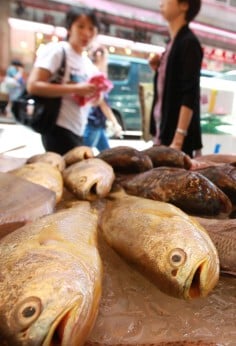 Local wet markets reflect the shrinking catches.