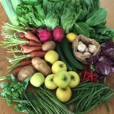 Order locally-grown fruit and veg online