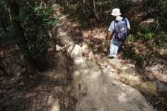 The Yuen Tsuen Ancient Trail before concrete was used to pave over it.