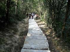 The Yuen Tsuen Ancient Trail after being paved over with concrete.