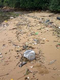 Marine waste washed up on Ma Wan Island. Photo: F. Maamar