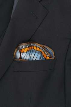 Oleria Onega Crispinella pocket square.