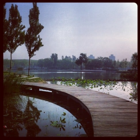 The 40-hectare Haidian Park (海淀公园) is an oasis of green and calm. Photo: Jeanette Wang
