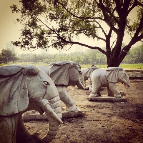 Haidian Park has a huge green field for kite-flying and picnicking - and watching these stone Elephants go by... Photo: Jeanette Wang