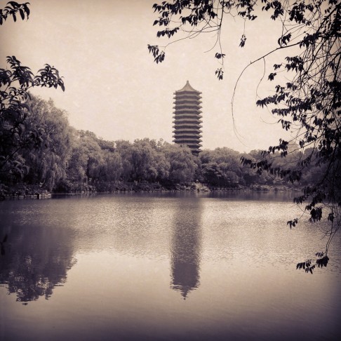 Weiming Lake, located in the north of the campus, is surrounded by walking paths and small gardens. Photo: Jeanette Wang