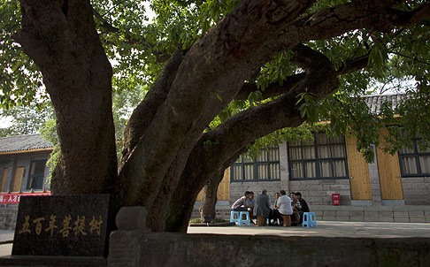 Students of Yuanjing Academy talk to visiting professors in the courtyard. Photo: AP