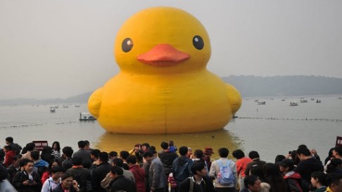 Officials estimated that nearly 70,000 visitors appeared at the Summer Palace to say goodbye to the duck. Photo: Chinanews.com