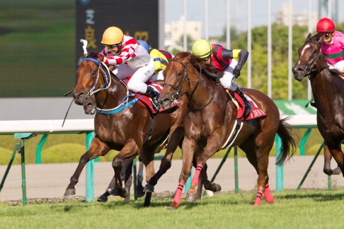In 2011, Lucky Nine (No 13 in orange cap) finishes a close second in the G2 Centaur Stakes to filly A Shin Virgo (No 9 in yellow cap) at Hanshin Racecourse in Japan. Photo: SCMP Pictures 