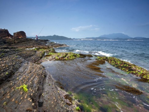 Low tide offers the chance to see a range of marine life.