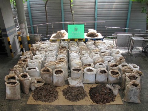 Some of the 3.3 tonnes of pangolin scales seized. Photo: Government Information Services