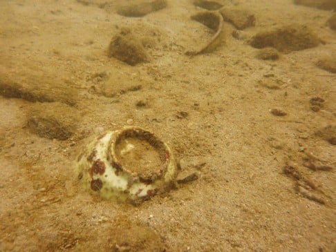 Porcelains on the seabed