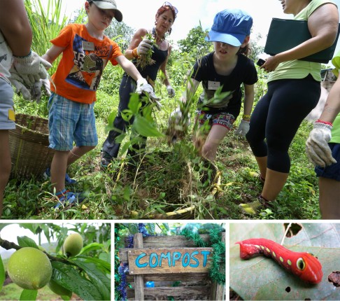 NATURE'S BOUNTY: Ark Eden in Mui Wo, Lantau hosts field trips, workshops and camps.