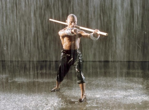 Gordon Liu Chia-hui in Lau Kar-leung's The 36th Chamber of Shaolin (1978).