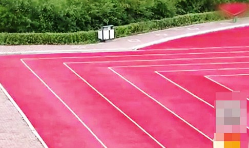 Curves in all the wrong places: Officials painted the rectangular running track as they rushed preparations for a visit by superiors. Photo: SCMP Pictures