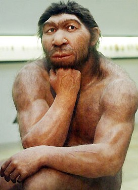 neanderthal-b.jpg