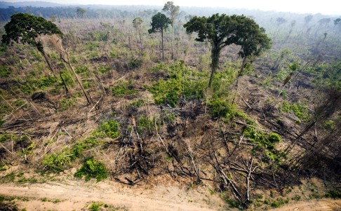 A file aerial photo taken in 2009 shows a burnt out sector of the Jamanxim National Forest at an illegal settlement , in the Amazon state of Para, northern Brazil. Photo: AFP