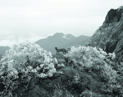A photograph from Yan Changjiang’s “Return to the Mountain” series.