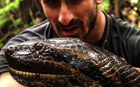 A closeup of the six-metre-long anaconda that stars in the Discovery Channel stunt. Photo: Handout