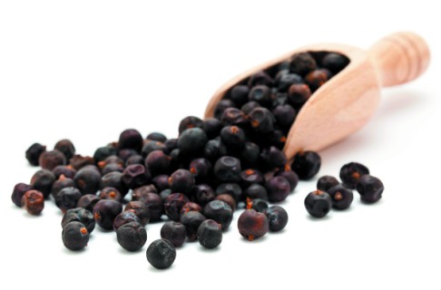 Gin is derived from juniper berries.