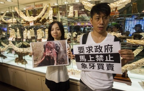Activists protest ivory sales in the Chinese Goods Centre in October. Photo: EPA