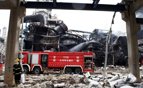 Damage caused to parts of the plant. Photo: Xinhua