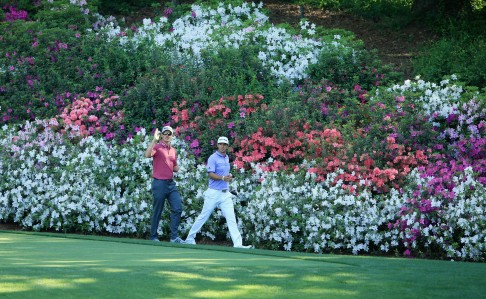 Rose among the flowers. Photo: AFP