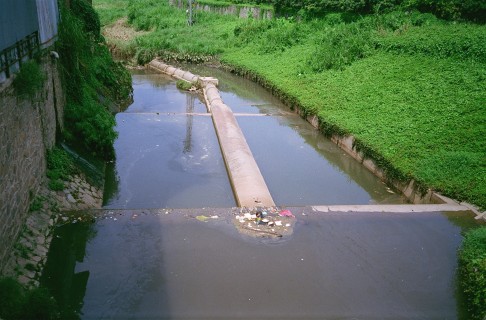 The Dongjiang channels are becoming clogged with urban sewage and pollution.