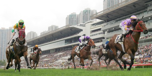 The Sprint Cup has been a springboard to further international success, as it was for subsequent King's Stand Stakes winner Little Bridge in 2012.