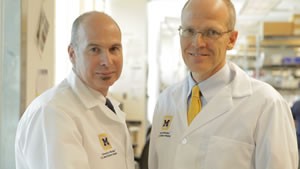 Dr. Glenn Green (right), of C.S. Mott Children's Hospital, and U-M scientist Scott Hollister, Ph.D., were able to create and implant customized tracheal splints that saved three babies' lives. Photo: U-M Health System Department of Communication