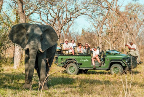 Visitors who go on Singita's game drive can get close to wildlife in their natural habitats.