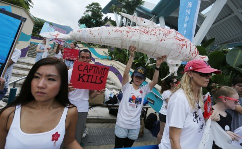 Activists hold a demonstration at Hong Kong's Ocean Park on 'Empty the Tanks' day – a non-violent demonstration synchronised with conservation groups in 20 countries across the world. Photo: Jonathan Wong