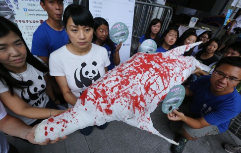 Activists from the World Wildlife Fund, Friends of the Earth and the Hong Kong Dolphin Conservation Society hold up a scale model of a slain dolphin to protest a Hong Kong development project that would encroach upon dolphin habitats. Photo: Felix Wong
