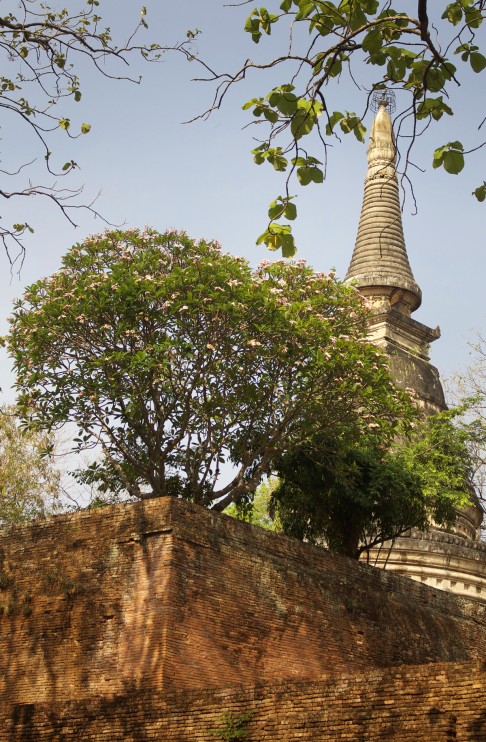 Shrine time: Wat Umong is quieter than the popular Wat Phra Doi Suthep.