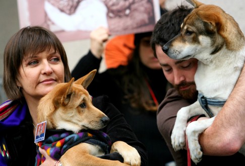 Animals at the puppy were in a terrible state, said Sheila McClelland, animal welfare activist. Photo: SMP Pictures