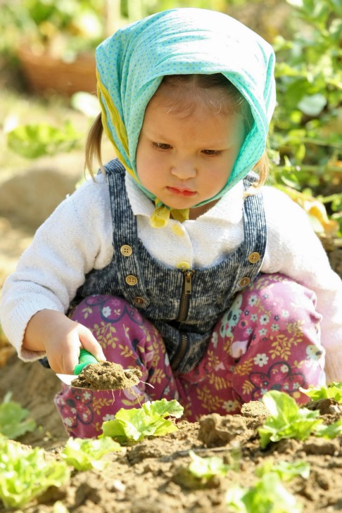 Gardening at Garden House in Clear Water Bay.