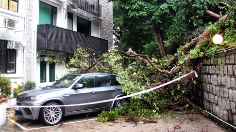 A fallen tree damages a car near Repulse Bay earlier this month following heavy rain. Photo: SCMP Pictures
