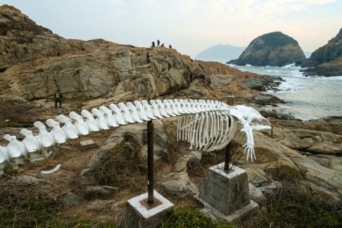 The bones of Miss Willy at Cape D'Aguilar. Photo: Peter Lam (peterlamphotography.com)