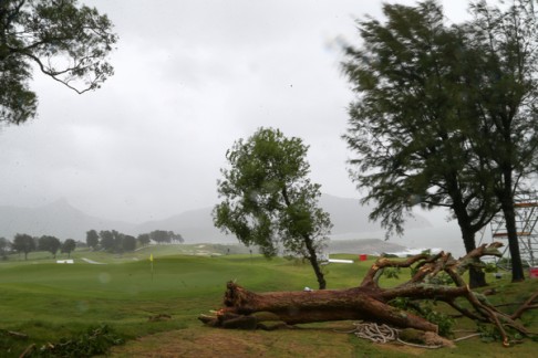 A fallen tree at Clearwater Bay Golf Club. 