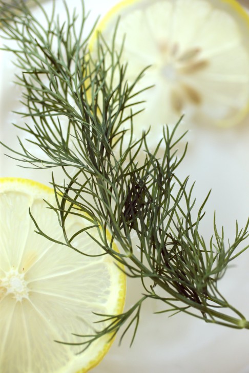 A sprig of dill.