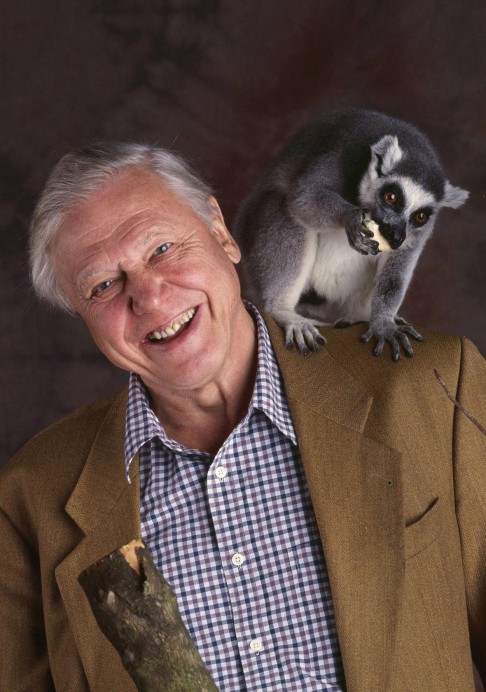David Attenborough with a ring-tailed lemur, from the 2002 documentary series The Life of Mammals.